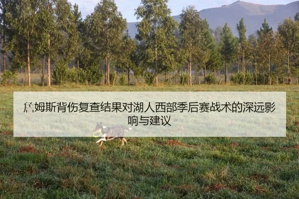 詹姆斯背伤复查结果对湖人西部季后赛战术的深远影响与建议